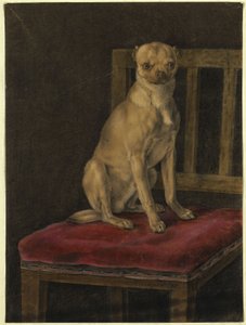 Carlino da Franz Krüger