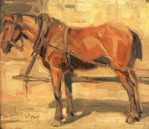 Piccolo studio di cavallo da Franz Marc