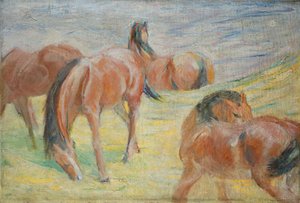 Cavalli al pascolo I