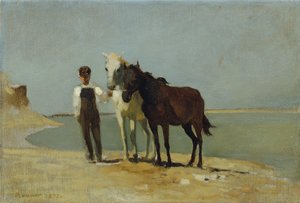 Un ragazzo con cavalli sulla spiaggia