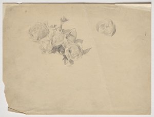 Studio di rose da Franz von Matsch