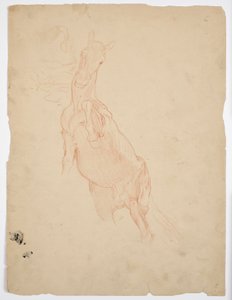 Studi di un cavallo che si alza da Franz von Matsch
