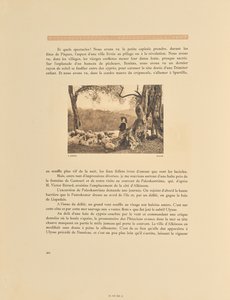 Corfù. Oliveto