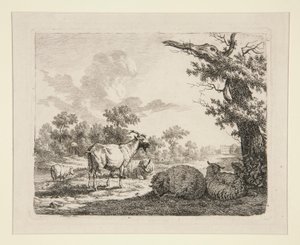 Pecore in un Prato da Frédéric Théodore Faber