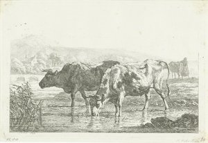 Due mucche che bevono da Frédéric Théodore Faber