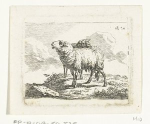 Due pecore in piedi da Frédéric Théodore Faber