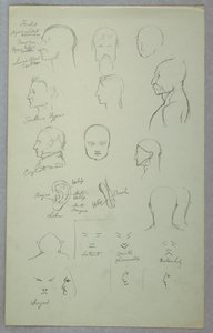 Studi Anatomici da Frederic Edwin Church