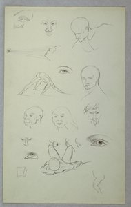 Studi anatomici da Frederic Edwin Church