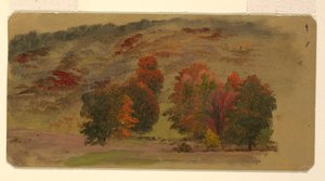 Paesaggio autunnale