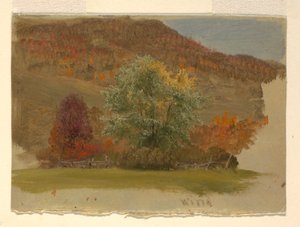 Paesaggio autunnale