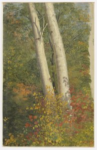 Betulle in autunno da Frederic Edwin Church