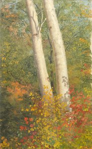 Betulle in autunno da Frederic Edwin Church