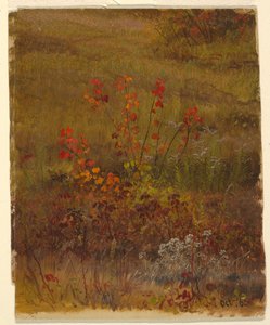 Studi botanici