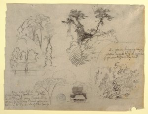 Studi botanici e una casa, probabilmente dalla Colombia