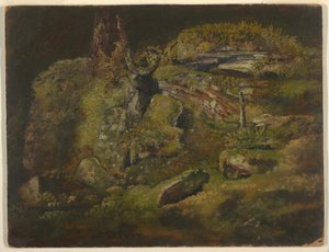 Masso nel bosco da Frederic Edwin Church