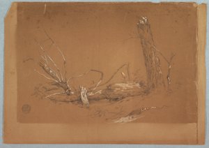 Disegno, Un albero morto spezzato, 1855-65