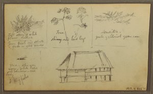 Disegno, un forte; verso: schizzi botanici, casa, 1857 da Frederic Edwin Church
