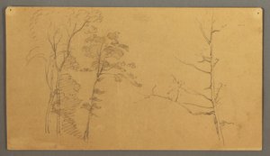 Disegno, Gruppo di alberi con la parte superiore di un albero morto, 1866