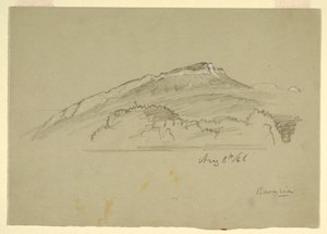 Disegno, un albero, Baviera, 8 agosto 1868