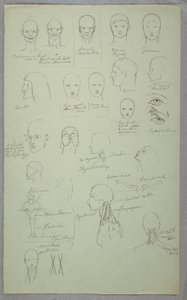 Disegno, Studi anatomici, 1865-70 da Frederic Edwin Church