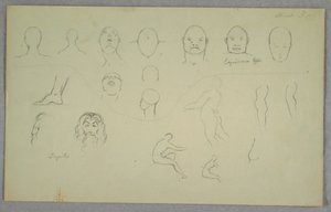 Disegno, Studi anatomici, 1865-70