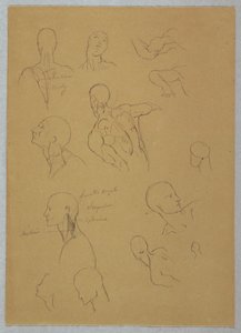 Disegno, Studi anatomici, 1865-70 da Frederic Edwin Church