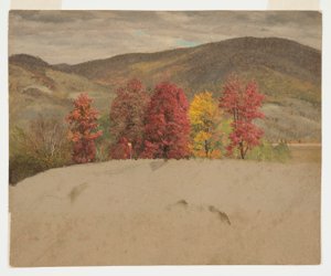 Disegno, Paesaggio autunnale nel New England, probabilmente ottobre 1865