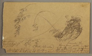 Disegno, Ramoscelli di bambù, forse 1865-66 da Frederic Edwin Church