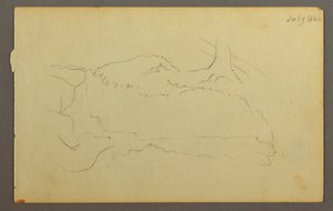 Disegno, Base di un albero, massi, 1844 da Frederic Edwin Church