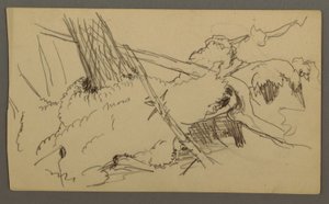 Disegno, Base di albero, masso, forse 1877