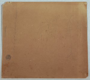 Disegno, schizzi botanici, forse bambù, palme e cespugli, Ecuador o Colombia, 1853 o 1857 da Frederic Edwin Church