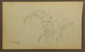 Disegno, Schizzi botanici; verso: Schizzi botanici, 1857 da Frederic Edwin Church
