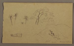 Disegno, schizzi botanici, figura, maggio-agosto 1865