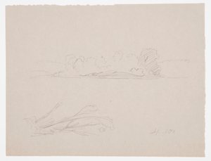 Disegno, Schizzi botanici: paesaggio, alberi in riva al mare, settembre 1876 da Frederic Edwin Church