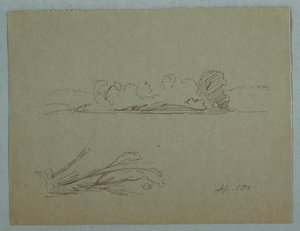 Disegno, Schizzi botanici: paesaggio, alberi in riva al mare, settembre 1876 da Frederic Edwin Church