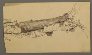 Disegno, sezione inferiore di un tronco d