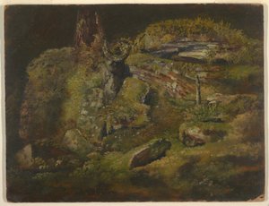 Disegno, Boulder nel bosco, 1845 ca.