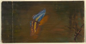 Disegno, Farfalla sull
