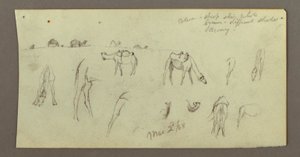 Disegno, Studi sul cammello, 2 marzo 1868