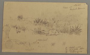 Disegno, Cammelli che bevono su una collina, 22 febbraio, forse 1868 da Frederic Edwin Church