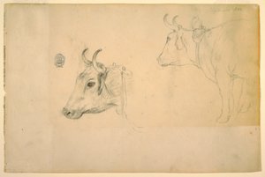 Disegno, Bestiame, settembre 1844 da Frederic Edwin Church