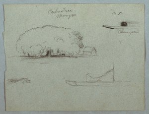 Disegno, Albero di Ceiba a Mompos, canoa Champan, alberi e una barca parziale, Rio Magdelena, Colombia, 1853, probabilmente maggio