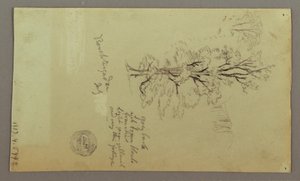 Disegno, camini, cascate, figure, ecc., luglio forse 1868 da Frederic Edwin Church