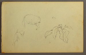 Disegno, Mucca che si gratta la testa, pianta di foglie, forse 1844 da Frederic Edwin Church
