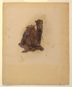 Disegno, Dromedario accovacciato, 1868 da Frederic Edwin Church
