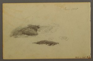 Disegno, betulla deperita, 1844 da Frederic Edwin Church