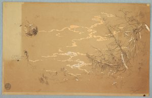 Disegno, vista dettagliata del bordo della banca canadese, agosto 1858 da Frederic Edwin Church