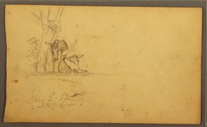 Disegno, Asini, 2 giugno 1857 da Frederic Edwin Church