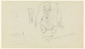 Disegno, Dromedario; Vecchia casa sulla M, febbraio 1868