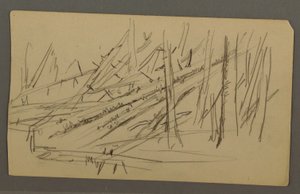 Disegno, Alberi caduti, forse 1877 da Frederic Edwin Church